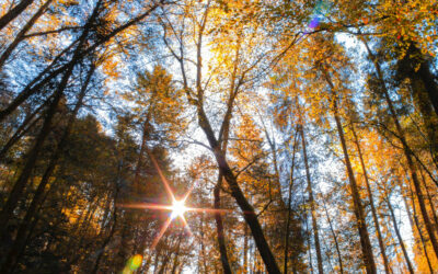 Wochenend-Tipps 14.10. – 16.10